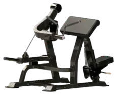 Bicep Curl – Type 2 – Jay Bhavani Fitness Solutions