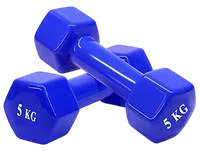Vinyl Dumbbell – Jay Bhavani Fitness Solutions