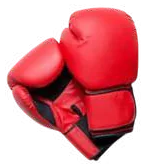 Boxing Gloves – Jay Bhavani Fitness Solutions