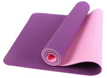 Dual Colour Yoga Mat – Jay Bhavani Fitness Solutions
