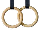 Roman Ring – Jay Bhavani Fitness Solutions