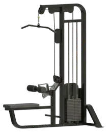 Lat Pulldown with rowing - Single Pulley – Jay Bhavani Fitness Solutions