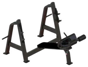 Olympic Decline Bench Press – Jay Bhavani Fitness Solutions
