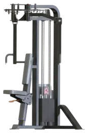 Pec Fly Rear Delt – Jay Bhavani Fitness Solutions